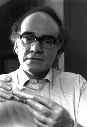 Martin Fleischmann